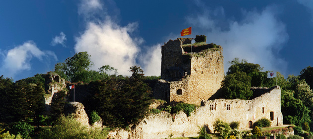 Château de Talmont