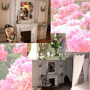 Chambre Pivoine