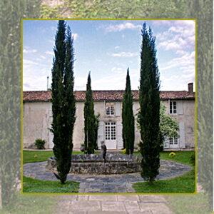 Image du château