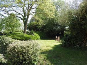 Jardin et barbecue