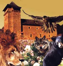 Image du château
