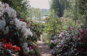 Image du château