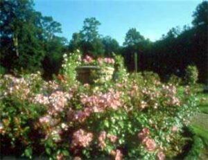 Image du château