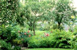 Visite des jardins