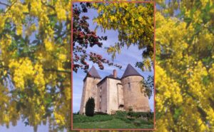 Visite du Château