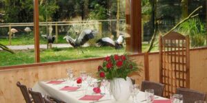 Restaurant La Palmeraie