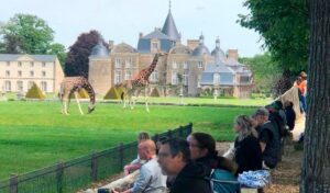 Formule Snack du Zoo