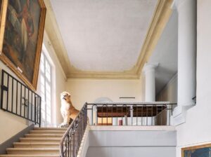 Visite du Château