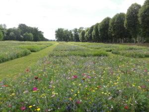 Visites Parc et jardin au Château de Valencay en Val de Loire, France, Europe