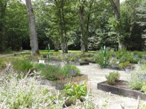 Europe, Centre, France, Val de Loire, Touraine, Visites Parc et jardin du Château de Valencay