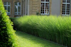 Image du château