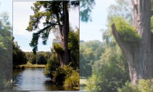Image du château