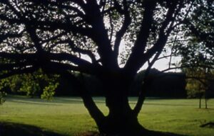 Image du château