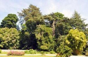 Image du château