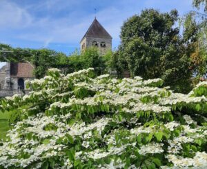 Image du château