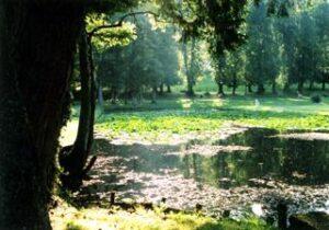 Image du château