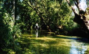 Image du château