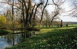 Image du château
