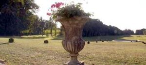 Image du château